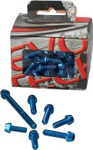Evotech Engine screws, blue - Ducati 749 / 916 / 996