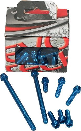 Evotech Engine screws, blue - Ducati 1200 Multistrada