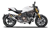 Akrapovic Krümmer Evolution, Titan - Ducati 821, 1200 Monster S, Stealth, Stripe