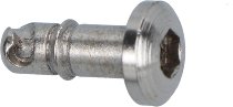 SD-Tec Quick release fasteners set of 5, 17mm, hexagon socket, with rivet plate