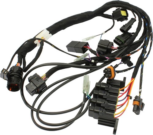 Ducati Wiring harness front - 749, 999, S, R