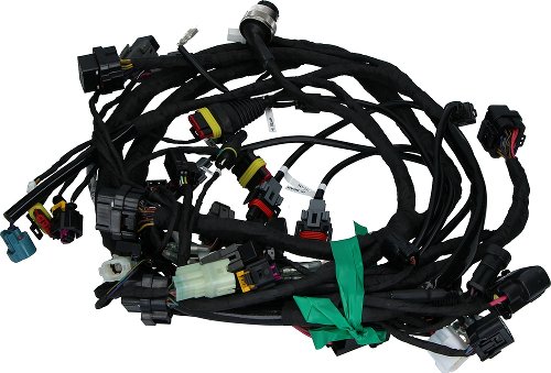 Ducati Wiring harness - 1199 Panigale 2012-2013
