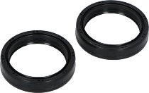 Ari Fork seal ring kit 43x54x11 mm double lip