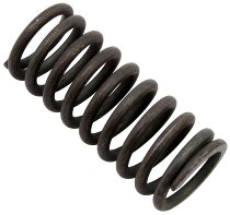 Ducati Clutch spring - 620, 695, 696, 795, 796, 800 S2R Monster, 800 Scrambler, 620 Multistrada 2006