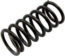 Ducati Clutch spring - 400, 600, 620 Monster, Supersport from 2000