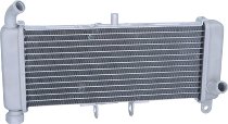 Aprilia Water cooler - 50, 125 RS, Tuono