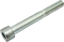 Benelli Screw shock absorber holder M10x80 - 125 BX